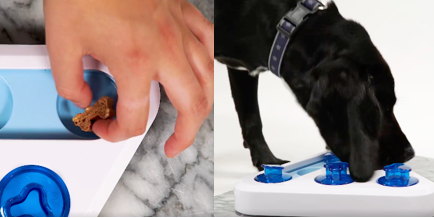 Action verkoopt 'interactief honden speeltoestel' met beloning