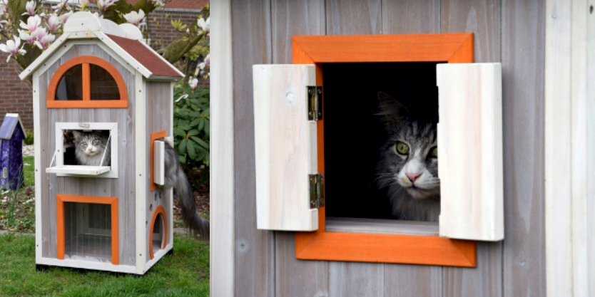 Lidl verkoopt geniale kattenvilla speciaal voor Dierendag