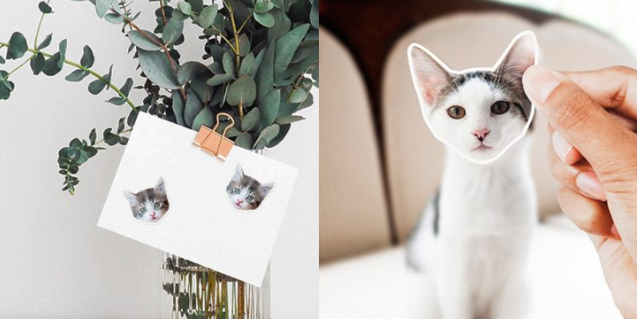 Hebben: Gepersonaliseerde stickers van je huisdier