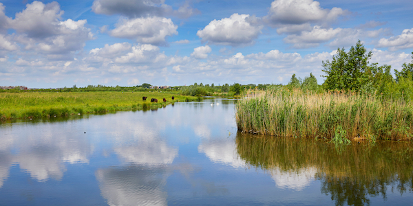 De mooiste verborgen plekken voor een vakantie in Nederland