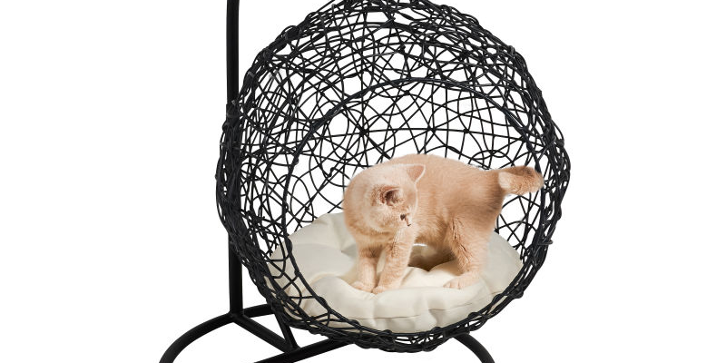 Dit wil je: hangstoel voor je huisdieren