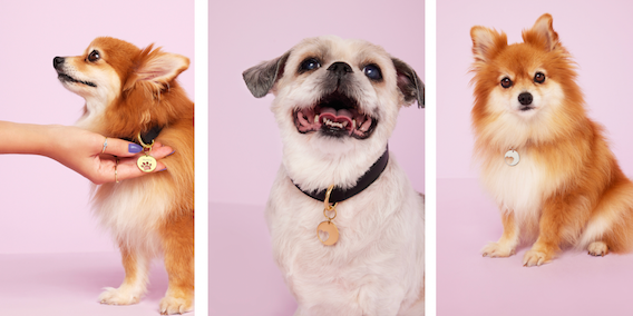 Lucardi lanceert sieradencollectie voor dierendag