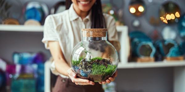 DIY: Planten terrarium