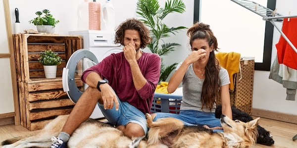 Onderzoek: Koppels die in het bijzijn van elkaar scheten laten, blijven langer samen