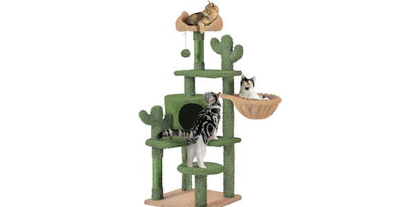 Deze budget cactuskrabpaal wil je voor jouw kat 
