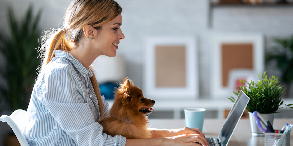 Waarom het goed is om een huisdier om je heen te hebben tijdens het thuiswerken 