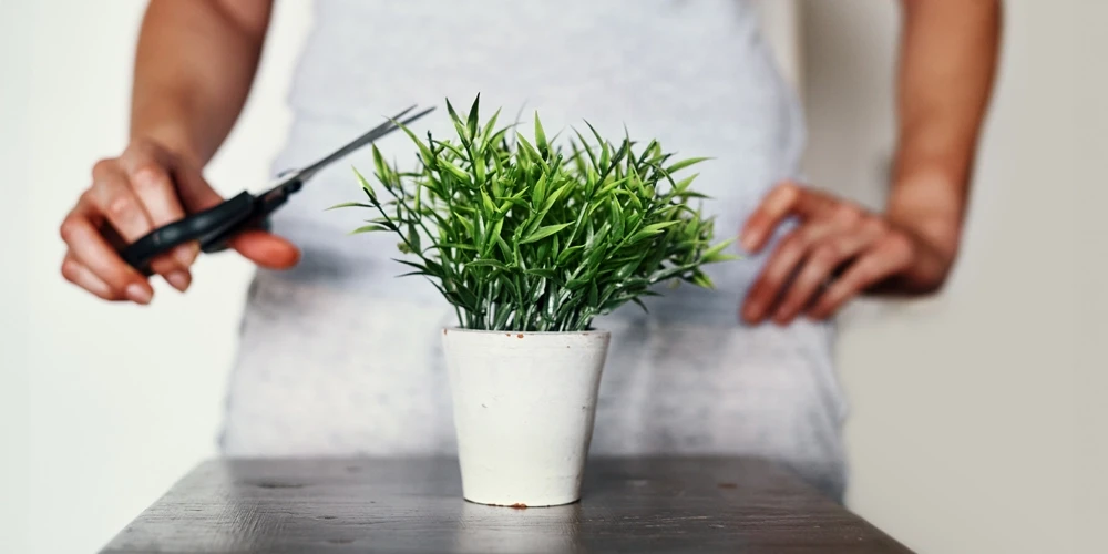 Schaamhaar is de meest onverwachte beauty trend