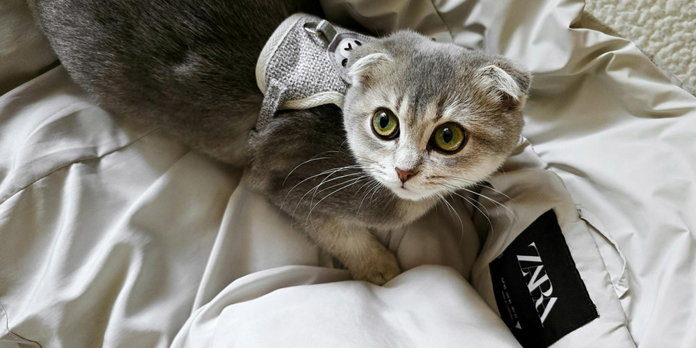 Deze Zara korting hack bespaart je letterlijk tientallen euro's